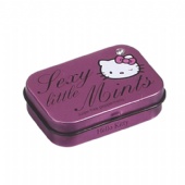 Decorative Cute Small Metal Tin Boxes with Hinged Lids