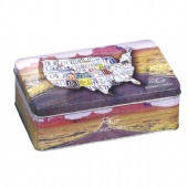 rectangular candy tin box